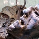 The severed head of German serial killer Peter Kurten on display in Wisconsin Dells